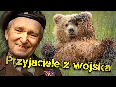 Wideo: Zakon Czerwonej Gwiazdy jako symbol odwagi i nieustraszoności żołnierzy Armii Czerwonej