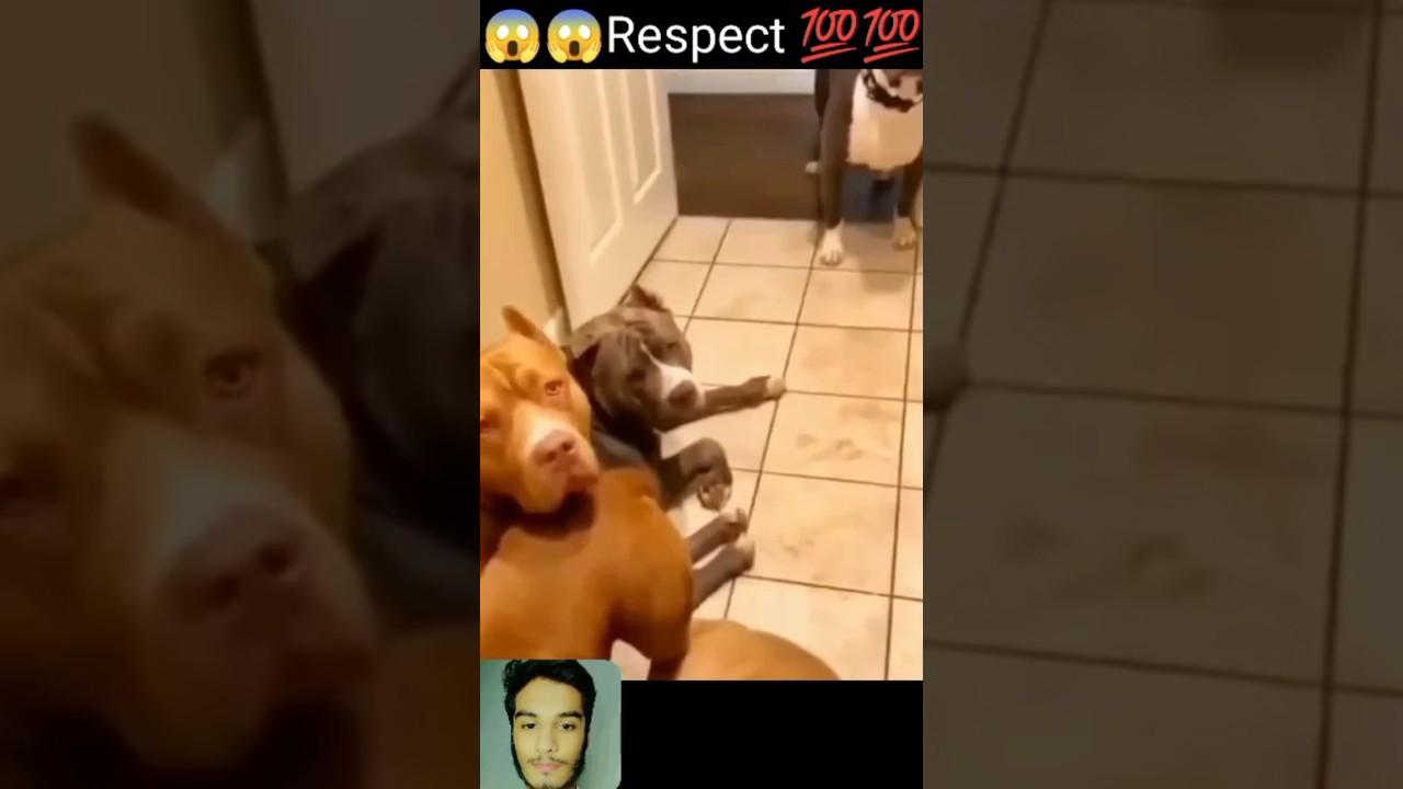 RESPECT 😱🤯🔥