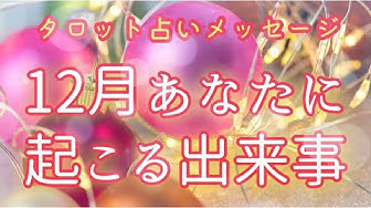 あんこちゃん Youtube