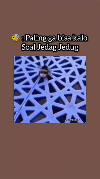 ga tahan lebahnya🤣#lebah #joget #viralig #ngakakkocak #memes #1jtsubs #funny #coreindonesia #ngakak