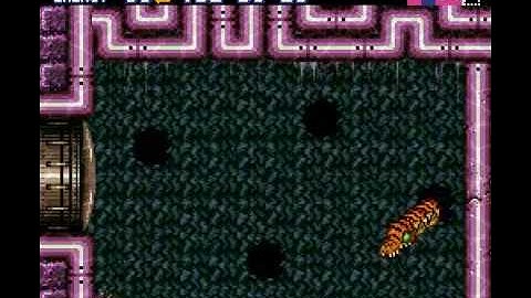 Super Metroid - Botwoon(Beam only/no damage)