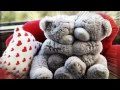 Teddy Bear Song - Barbara Fairchild.avi