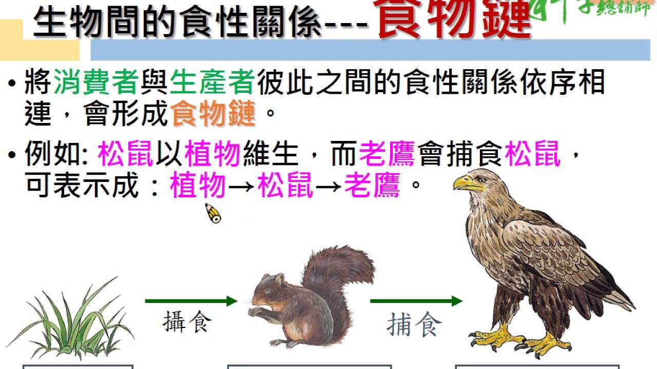 42-2-1-1生態系的環境與生物因子(居仁國中蔡明致) - YouTube