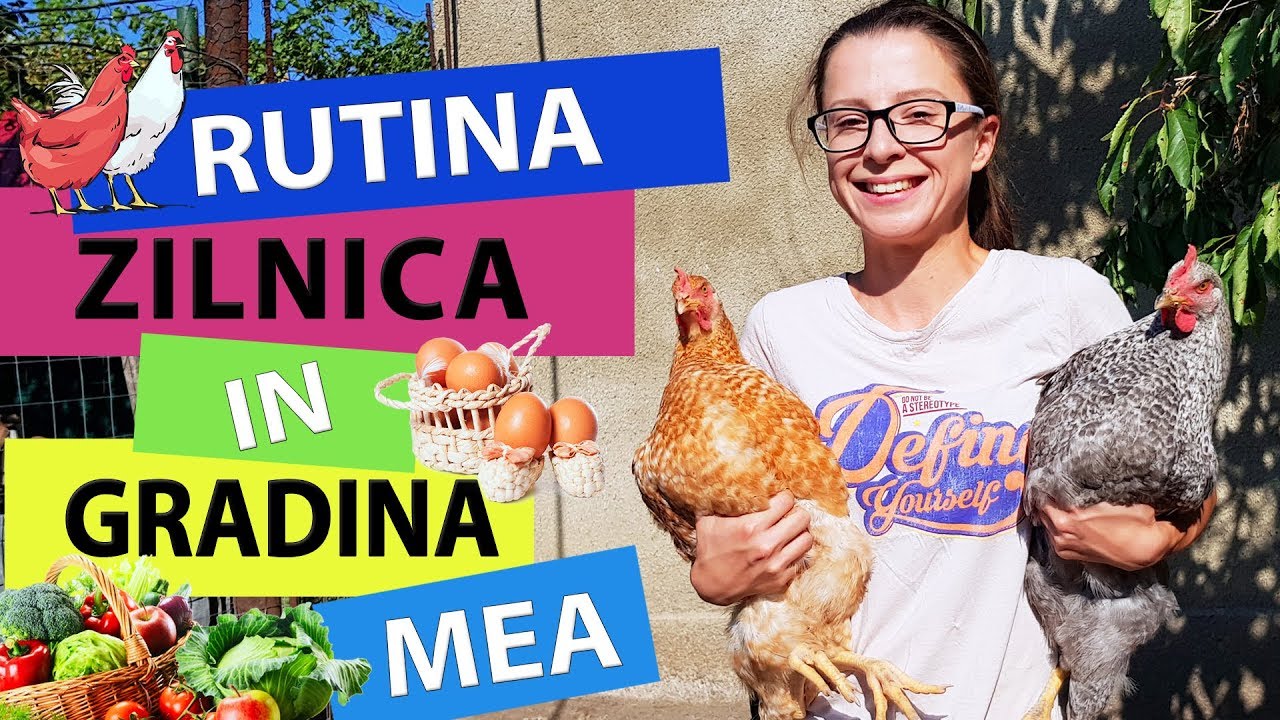 vârf de găină de vierme paraziți în inimă