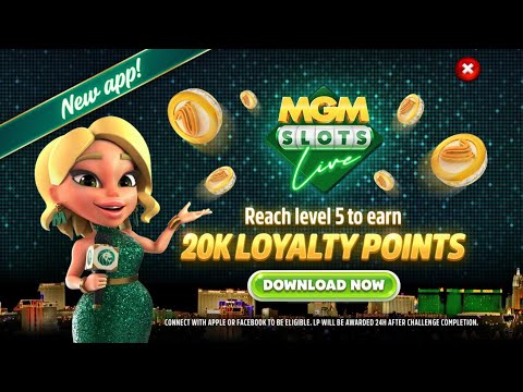 Lucky Cat Makes Profit
