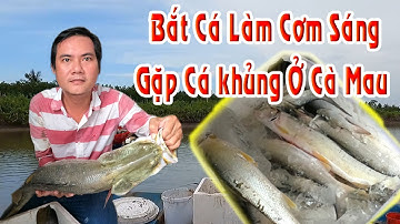 Bắt Cá Ở Vuông Tôm Cà Mau - Cà mau vlog