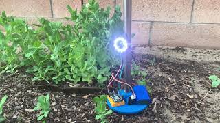 Morse Code Plant Communication in Action