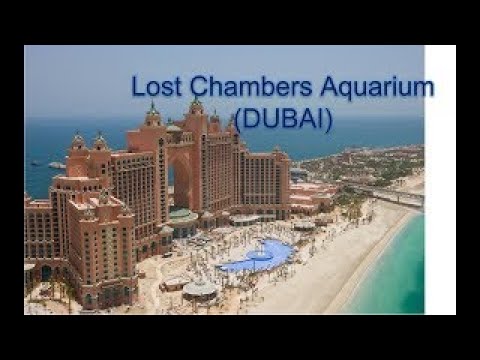 Lost Chambers Aquarium (DUBAI)