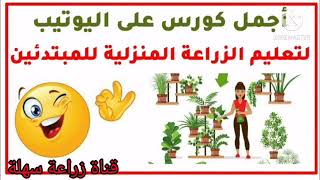 أهمية وفوائد الزراعة المنزلية Home farming على الأسطح وفي البلكونات .. دليل للمبتدئين.