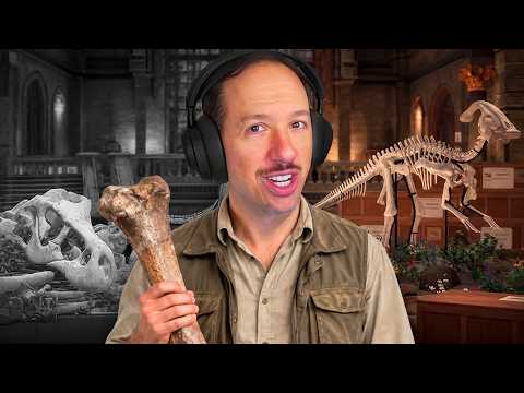 I organize 3000 fossils in this INCREMENTAL