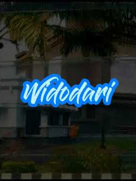 WIDODARI || WORO WIDOWATI FT WANDRA || story wa