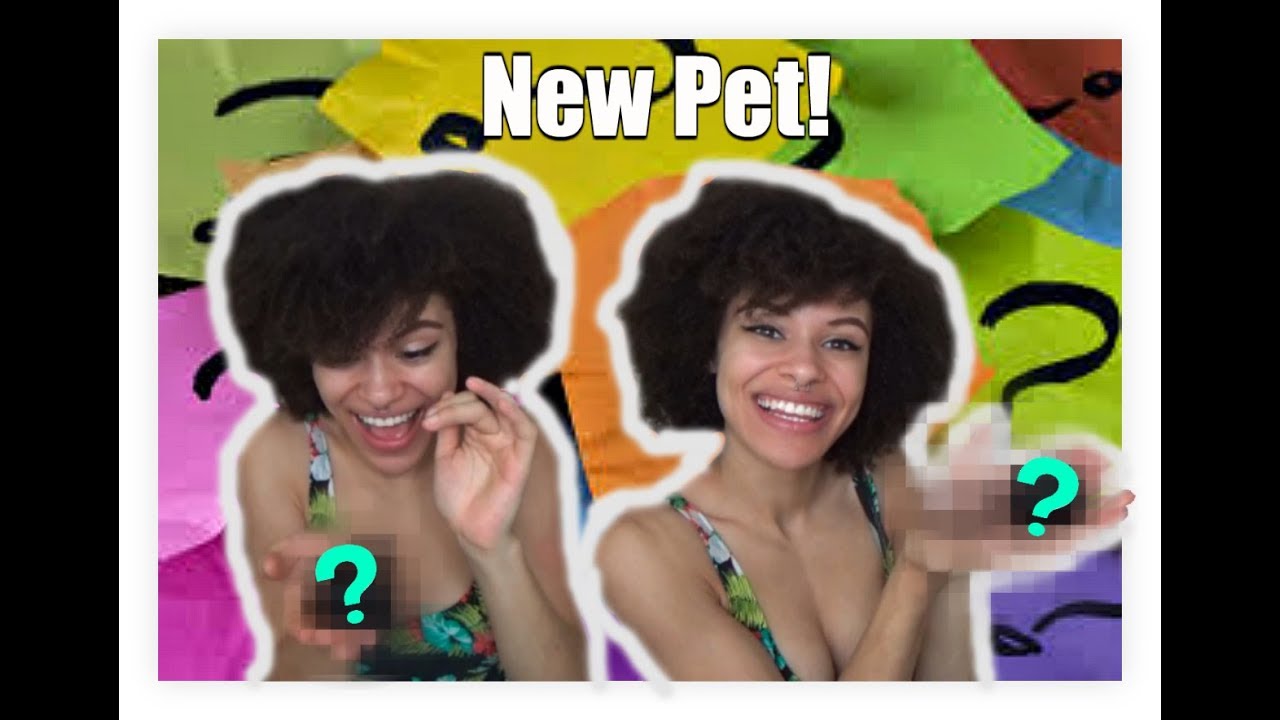 reptile education programs near me I GOT A NEW PET! (Clamps)