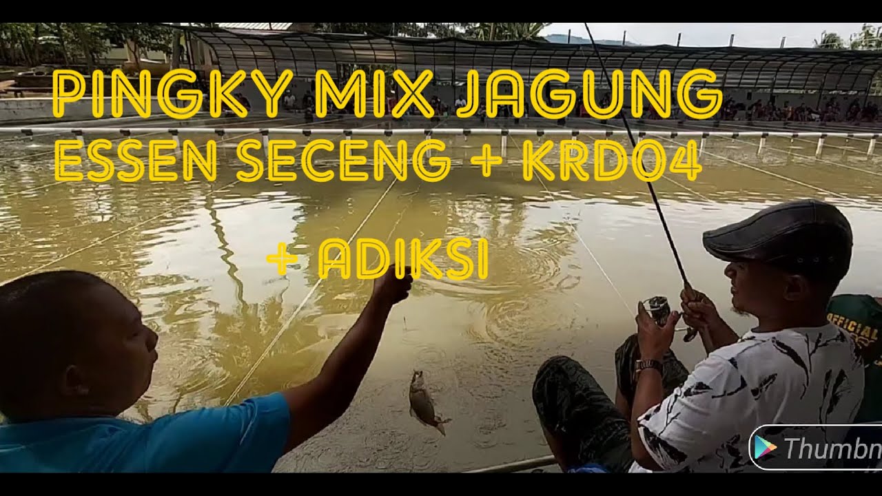 KOMBINASI 2 MACAM UMPAN DAN 3 MACAM ESSEN BIKIN SAYA GA BRENTI2 STRIIKEE...!!!