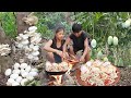 Find meet mushroom and egg for food - Cooking duck egg with mushroom &amp; Eating delicious in jungle