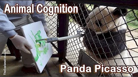 Animal Cognition. Richly Similar & Different to Hu...