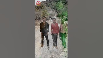 App: WBit Master : Particle.ly Video Status Maker 2022