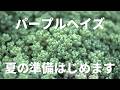 #672【梅雨が来る前にお手入れ】元気なうちにお手入れおすすめ。
