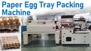 Egg Tray Shrink Wrapping Machine | How to Pack Paper Egg Trays with Heat Shrink Packaging System