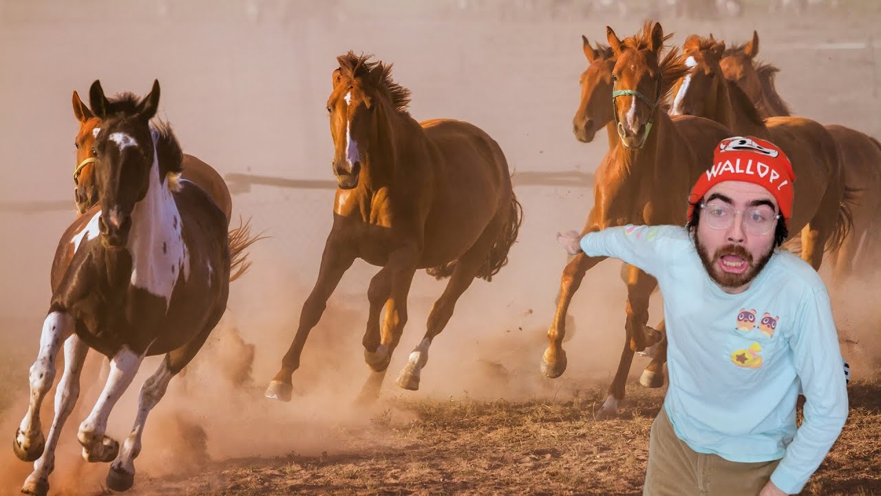 Ranking EVERY Horse Breed YouTube