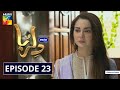 Dil Ruba | Episode 23 | Digitally Presented by Master Paints | HUM TV | Drama | 12 September 2020