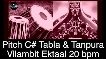 Ektaal vilambit 20 bpm | Tabla & Tanpura Pitch C# | Scale C sharp