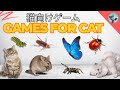 猫向け3Dゲーム 🎮 Cat TV 🐱 [Red Ladybird Beetle Bugs] | 3D HD フルエンターテインメント
