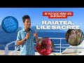 Arii  voyage sur lle sacre  raiatea partie 1