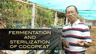 Fermentation And Sterilization of Cocopeat