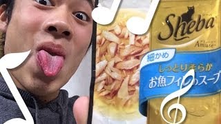 キャットフードを食べてみちゃう！　I would try to eat the cat food!