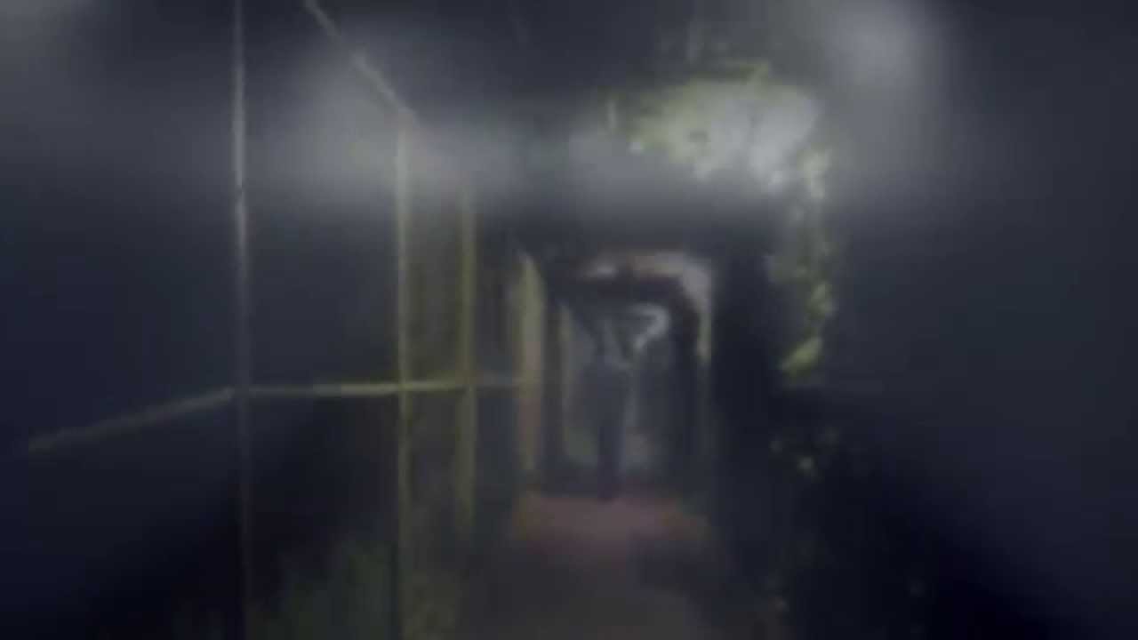 AxxoN N - Time of Need (Official Music Video)