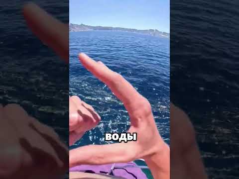 Причина, почему кидают камень в воду перед прыжком 🏊 🪨 😱 #факты