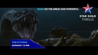 1st On Thrills | The Python | Star Gold Thrills