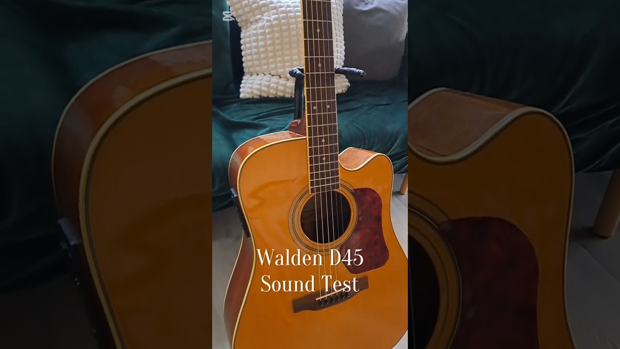 Walden D45 Sound Test 