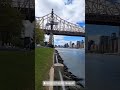 VIEW OF MANHATTAN SKYLINE FROM ROOSEVELT ISLAND, THE EAST RIVER #NEWYORK #MOCHILERO