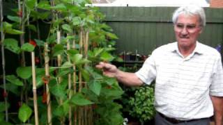 Gardening tips with Dennis Hubbard ( No. 3)