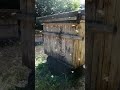 Особое село в глуши)) #весна #дача #nature #лесной