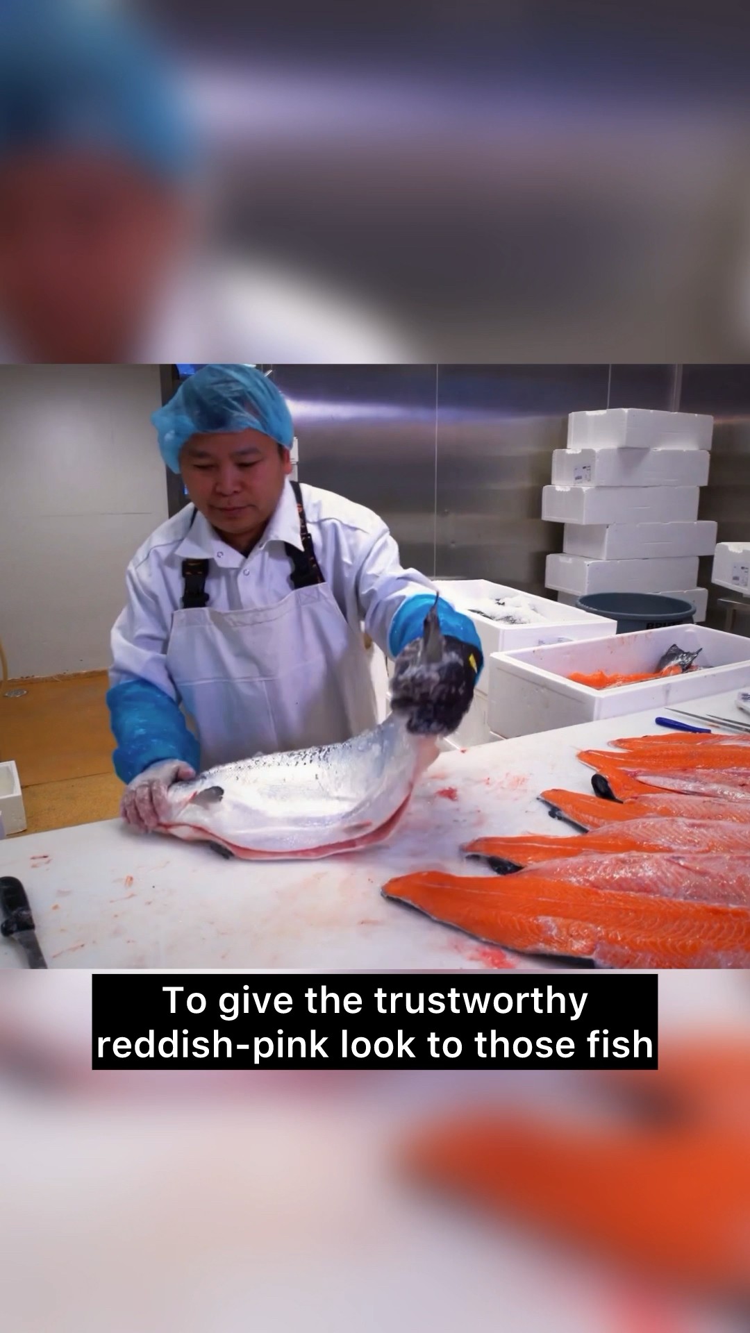 Why Does Farm-Raised Salmon Look So White? Shocking Truth! #salmon #foodfacts