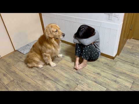 散歩中にママが愛犬に引きつずられ、頭を強打してしまいました…