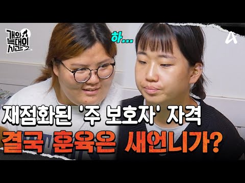 ＂훈육은 새언니가...＂ 재점화된 '주 보호자' 자격! 좋은 역할만 하고픈 보호자 | 개와 늑대의 시간2 29 회
