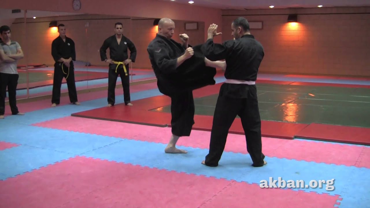 How to do Ninjutsu alternate strike and kick drill using yoko tobi aruki for AKBAN wiki YouTube