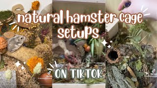 natural hamster cage setups on tiktok