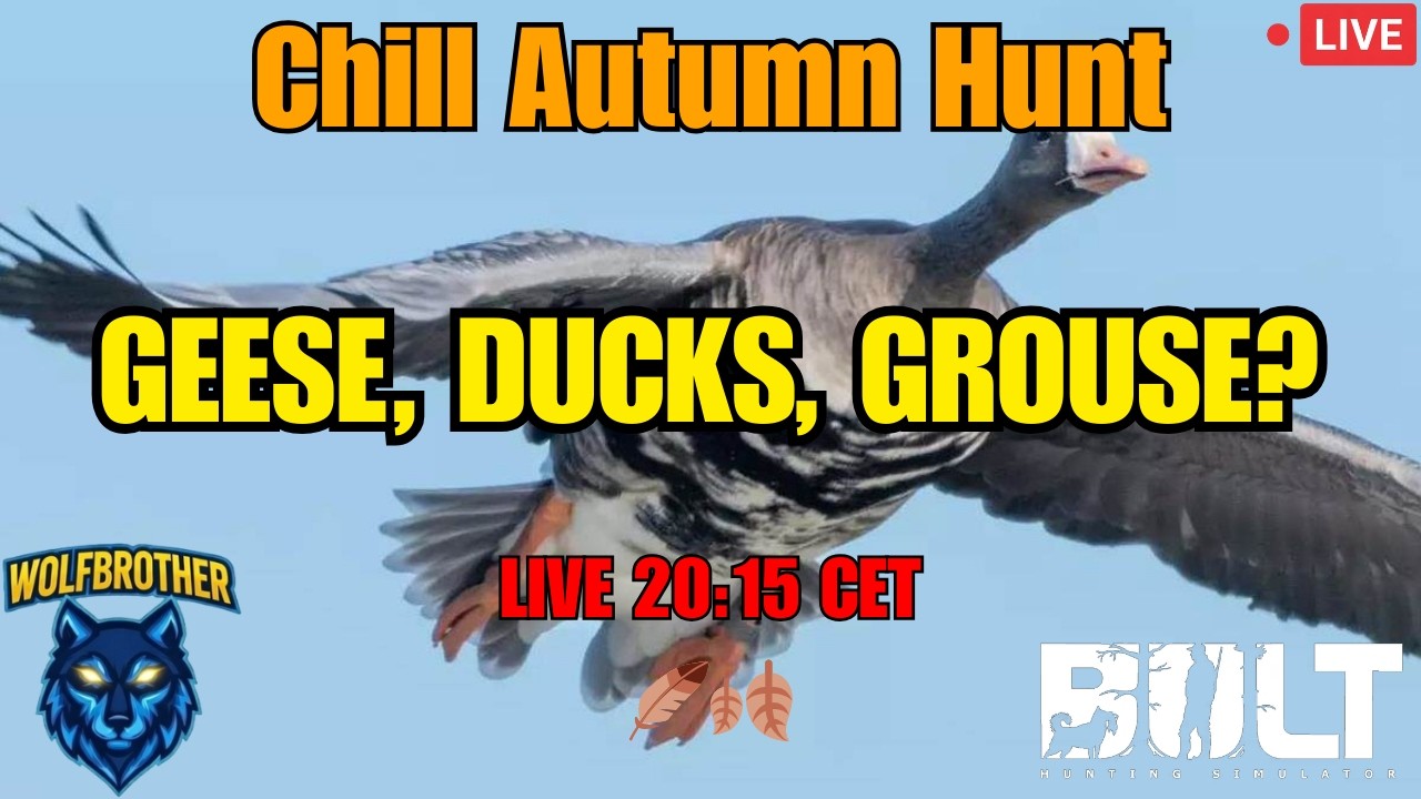 Chill Autumn Hunt – Geese, Ducks, Grouse? LIVE 20:00 CET 🪶🍂