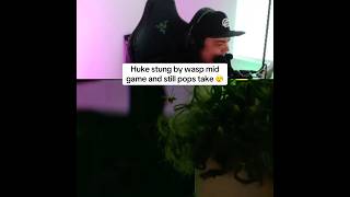 Not even a wasp can faze Huke 😮‍💨 #callofdutyleague #bo7 #optictexas #callofduty #huke