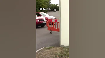Public Access Or Private Navigating Security Barriers 