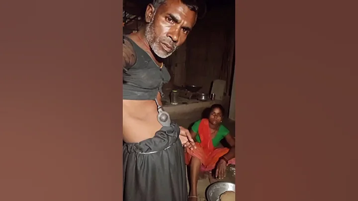 Video 11084381: cat dog funny compilation, laugh funny cats compilation, funny cats dogs clean