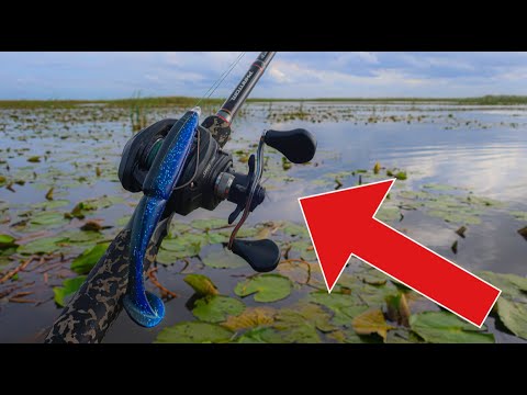 BEST Topwater Lure for GIANT Florida Bass! Lake Okeechobee ...