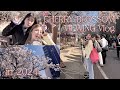 【vlog】ﾄﾓﾀﾞﾁと桜見ながらイチゴ飴食べて癒された春🌸 お花見 / 中目黒 / 食べ歩き