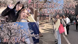 【vlog】ﾄﾓﾀﾞﾁと桜見ながらイチゴ飴食べて癒された春🌸 お花見 / 中目黒 / 食べ歩き
