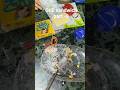 grill butter cheese sandwich,best sandwich ,veg sandwich recipe,#sandwich #,grill sandwich