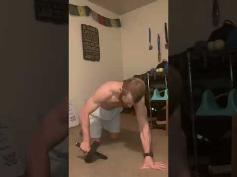 100 Ab Wheel